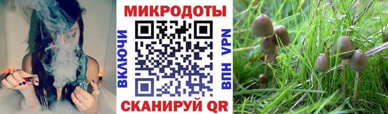 где продают наркотики  Тулун  Псилоцибиновые грибы мухоморы 